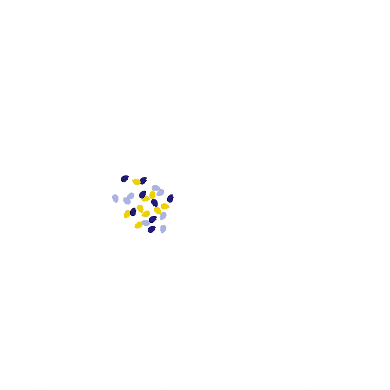 25 jaar wit 800x800 GIF